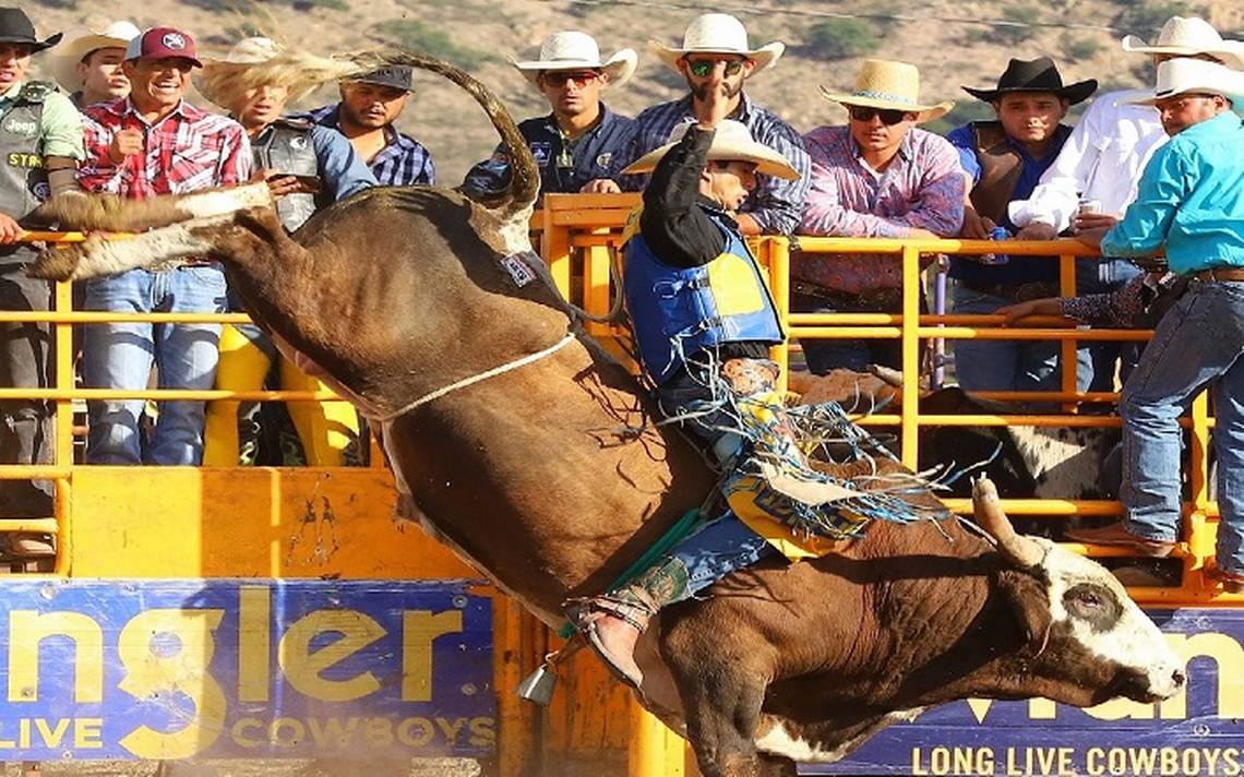 Rodeo de Primavera tendrá que esperar Noticias de Chihuahua Deportes Vaqueros El Heraldo de