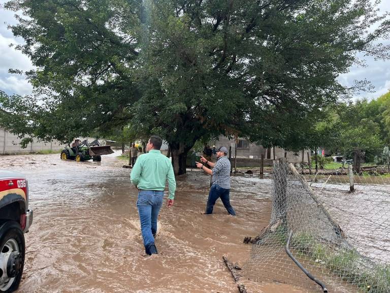 Se desborda Río Piedras Verdes en Casas Grandes - El Heraldo de Chihuahua |  Noticias Locales, Policiacas, de México, Chihuahua y el Mundo