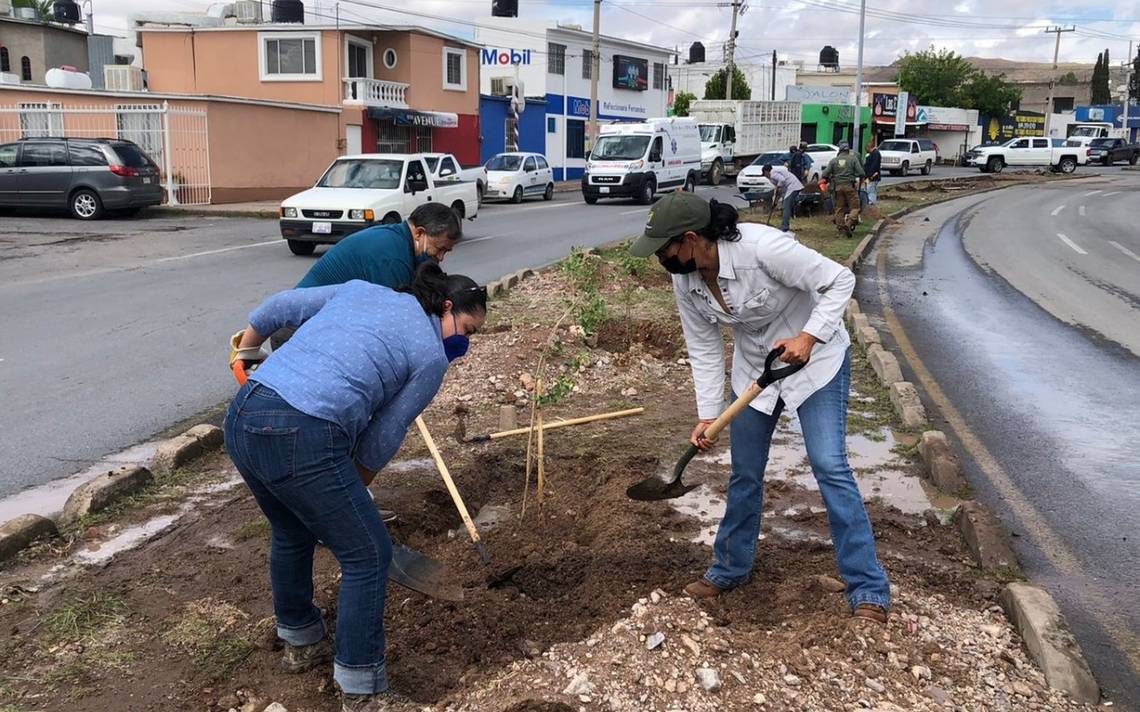 Reforestan la ciudad con especies endémicas para conmemorar Día Mundial de  la Tierra - El Heraldo de Chihuahua | Noticias Locales, Policiacas, de  México, Chihuahua y el Mundo