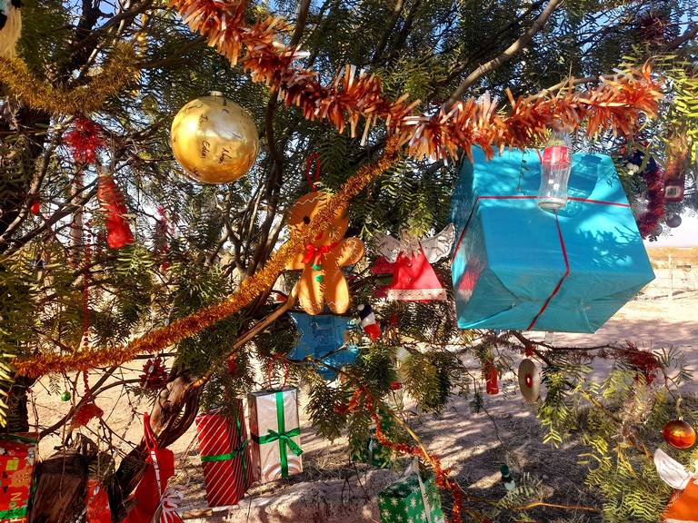 Cuánto cuesta poner un árbol de navidad? Te explicamos - El Heraldo de  Chihuahua