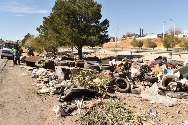 Tienes basura de la poda de árboles? Instalan contenedores en la ciudad  para tirarla - El Heraldo de Chihuahua | Noticias Locales, Policiacas, de  México, Chihuahua y el Mundo