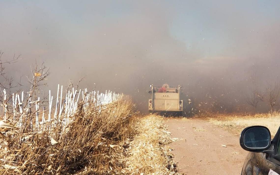 Traerá Frente Frío 11 hasta 7 grados bajo cero en la sierra - El Sol de  Parral