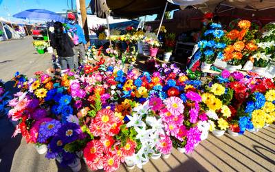 Caen hasta un 50% ventas en florerías para Día de Muertos en Chihuahua - El  Heraldo de Chihuahua | Noticias Locales, Policiacas, de México, Chihuahua y  el Mundo
