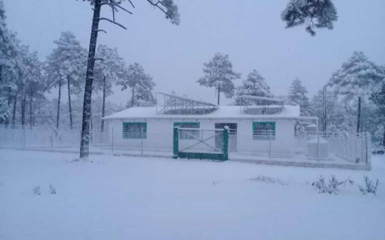 Que belleza! Creel se viste de blanco con la caída de nieve en la región -  El Heraldo de Chihuahua | Noticias Locales, Policiacas, de México, Chihuahua  y el Mundo