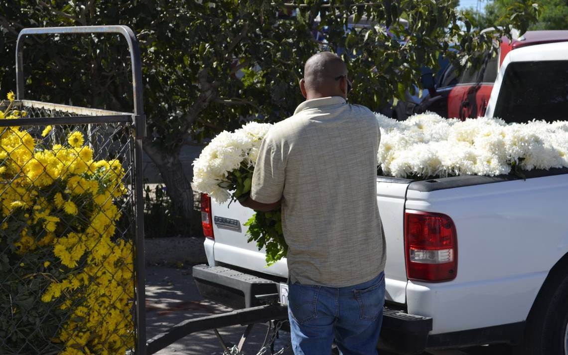 Sube el precio de la flor de muerto 30% chihuahua día de muertos - El  Heraldo de Chihuahua | Noticias Locales, Policiacas, de México, Chihuahua y  el Mundo