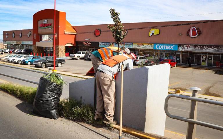 Remediarán basurero municipal de Cuauhtémoc Noticias de Chihuahua - El  Heraldo de Chihuahua | Noticias Locales, Policiacas, de México, Chihuahua y  el Mundo