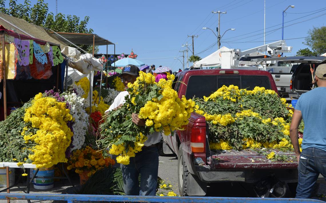 En riesgo de perderse cosecha de flores por cierre de panteones día de  muertos covid 19 semaforo amarillo - El Heraldo de Chihuahua | Noticias  Locales, Policiacas, de México, Chihuahua y el Mundo