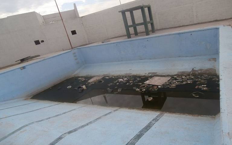 Exigen limpieza de alberca contaminada - El Heraldo de Chihuahua | Noticias  Locales, Policiacas, de México, Chihuahua y el Mundo