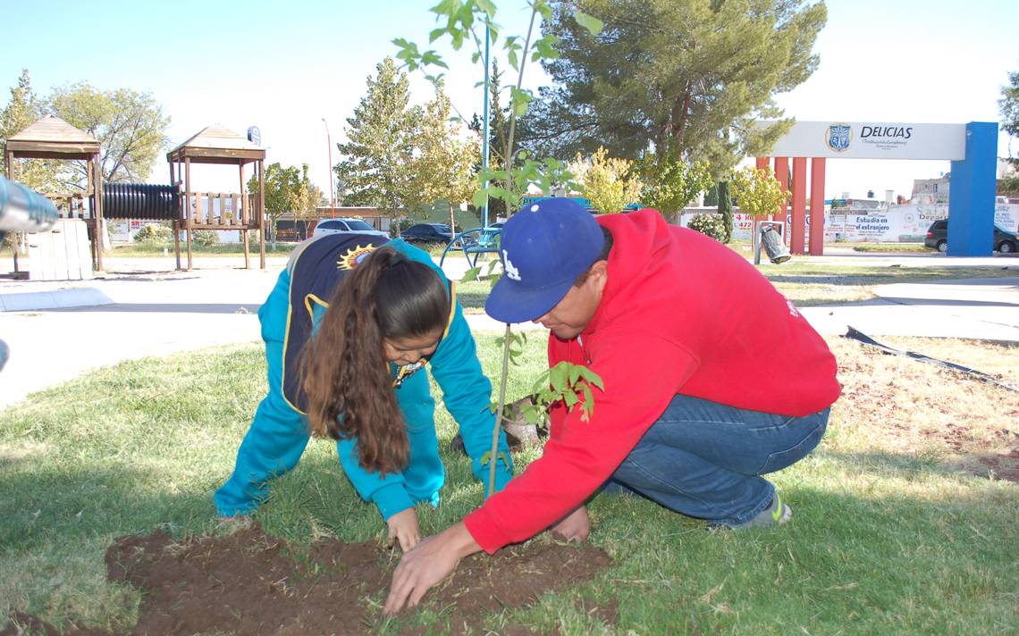 Entregan más de 2,500 árboles para reforestar la ciudad de Delicias - El  Heraldo de Chihuahua | Noticias Locales, Policiacas, de México, Chihuahua y  el Mundo