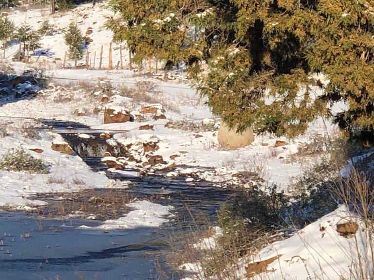 Nieva en tres municipios y cierran tramos carretero Janos-Agua Prieta - El  Heraldo de Chihuahua | Noticias Locales, Policiacas, de México, Chihuahua y  el Mundo