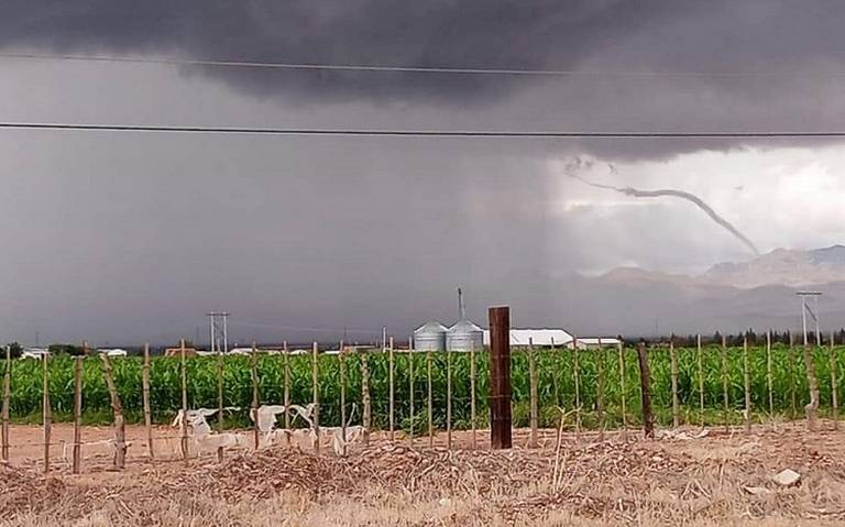 Reportan tornado en Nuevo Casas Grandes Noticias de Chihuahua Clima Aire  Tormentas Inundaciones - El Heraldo de Chihuahua | Noticias Locales,  Policiacas, de México, Chihuahua y el Mundo